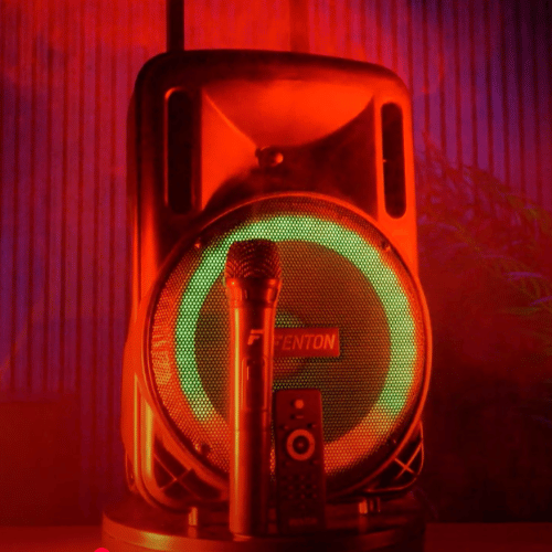 Fenton FT10LED MK2 10" Portable PA System with LED effects